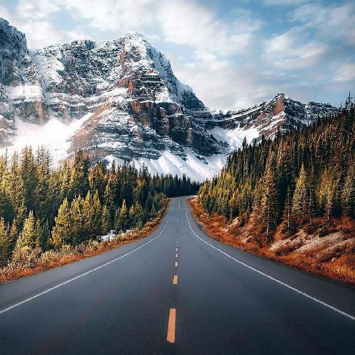 میثم زارع گلم رو میبرن در شهر قربت